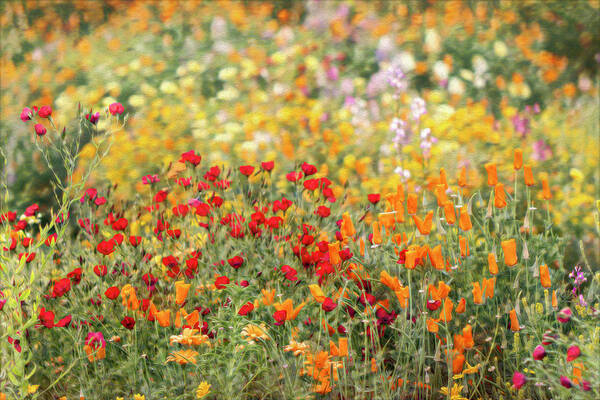 Flowers Art Print featuring the photograph Dublin In Spring by Vanessa Thomas