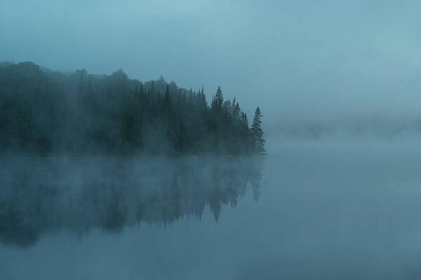Algonquin Park Art Print featuring the photograph Early Morning Mist by CR Courson