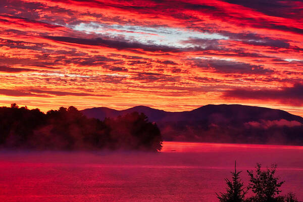 Red Art Print featuring the photograph Early Morning Red by Russ Considine