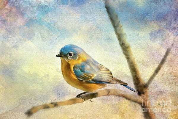 Bluebird Art Print featuring the digital art Eastern Bluebird On A Bluebird Day by Lois Bryan