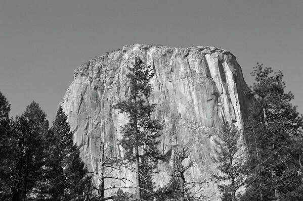 Yosemite Art Print featuring the photograph El Capitan And The Trees by Eric Forster