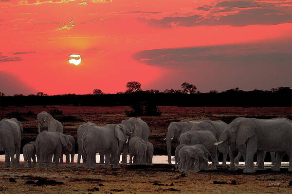 African Elephants Art Print featuring the digital art ELEPHANTS AT DUSK cps by Larry Linton