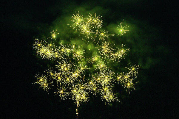 Fireworks Art Print featuring the photograph Exploding Daisies Fireworks by Ed Williams