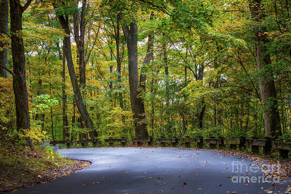 Indiana Art Print featuring the photograph Fall Color Country Road - Clifty Park - Indiana by Gary Whitton