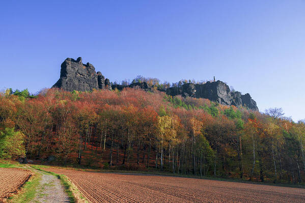 Saxon Switzerland Art Print featuring the photograph Fall colors around Lilienstein mountain by Sun Travels