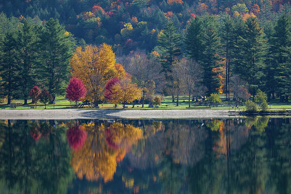 Fall Trees Art Print featuring the photograph Fall Trees Reflected by Denise Kopko