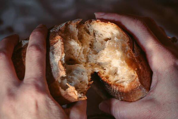 Breakfast Art Print featuring the photograph Female hands close-up breaking fresh baguette bread by Sasha Samardzija