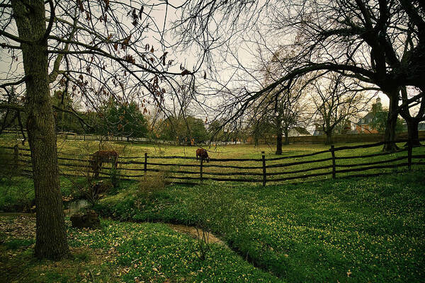 Colonial Williamsburg Art Print featuring the photograph Field and Stream by Rachel Morrison