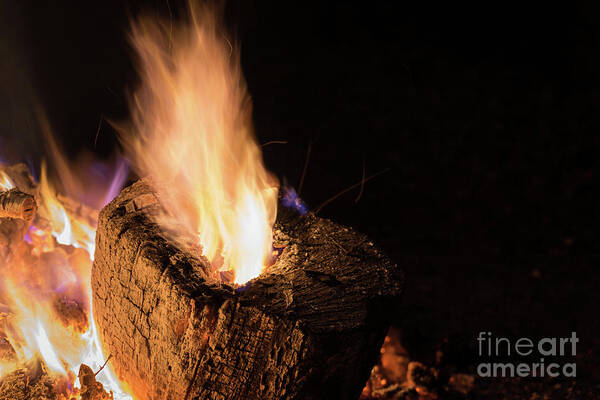 Fire Art Print featuring the photograph Fire and flames 11 by Adriana Mueller