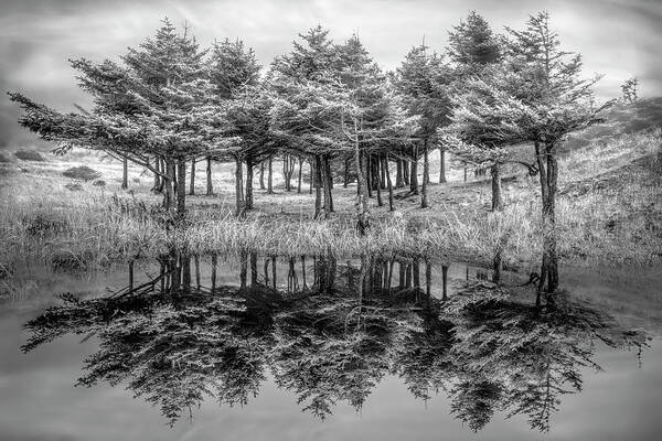 Black Art Print featuring the photograph Fire in the Lake Black and White by Debra and Dave Vanderlaan