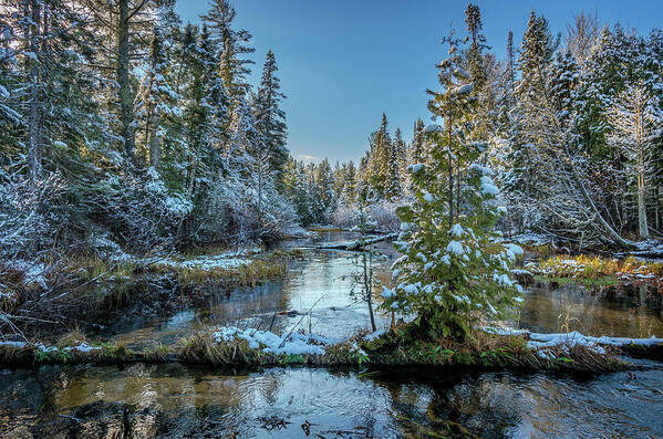 Footsore Fotography Art Print featuring the photograph First Snow by Gary McCormick