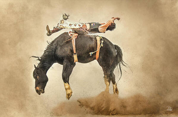 Bronc Art Print featuring the photograph Flat Out by Debra Boucher
