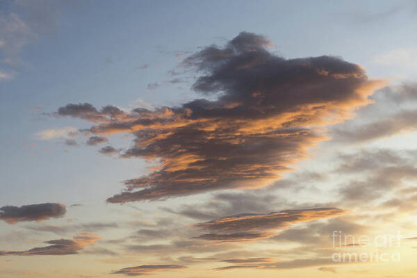 Clouds Art Print featuring the photograph Cloud at sunset, like a bird by Adriana Mueller