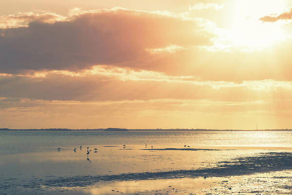 Beach Art Print featuring the photograph Florida Beach Sunset by Joe Leone