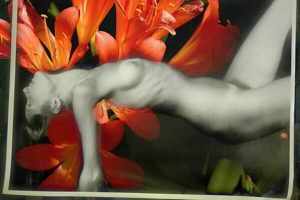 Full Nude Art Print featuring the photograph Flower Girl by Harry Spitz