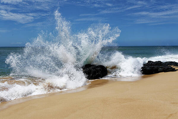 Wing Of Wave Art Print featuring the photograph Flying Wing of Wave by Heidi Fickinger