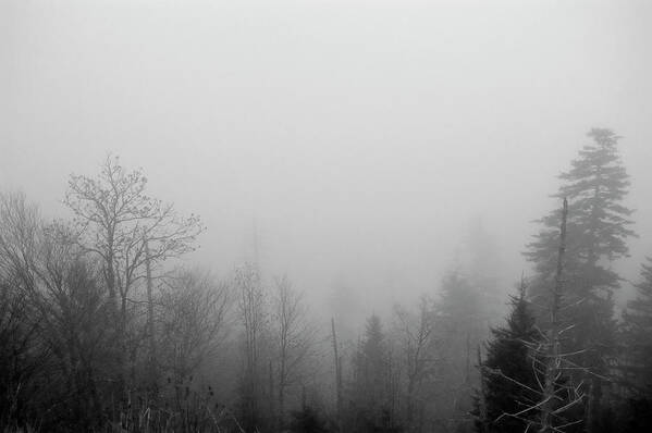 Fog Art Print featuring the photograph Fog at Clingman's Dome_005 by James C Richardson