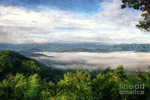Fog Art Print featuring the photograph Fog in the Valley 2 by Phil Perkins