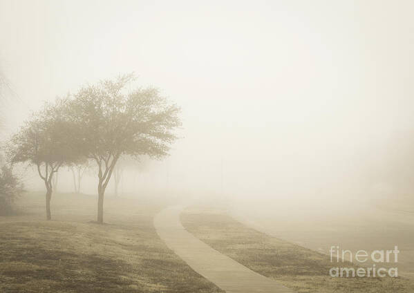 Nature Art Print featuring the photograph Fog by Rafia Malik