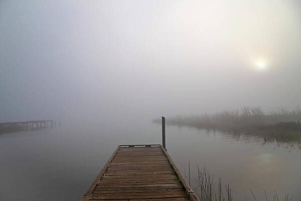 Fog Art Print featuring the photograph Foggy Morning by Dart Humeston