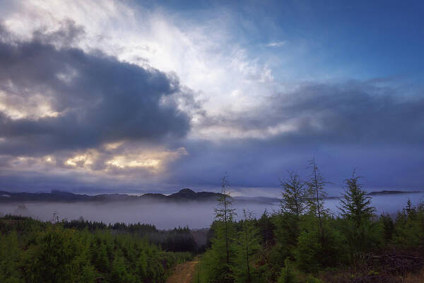 Oregon Coastal Forest Art Print featuring the photograph Foggy Overlook by Bill Posner