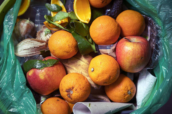 Environmental Damage Art Print featuring the photograph Food waste problem, leftovers Thrown into into the trash can. Spoiled food in refuse bin. Spoiled oranges and apples close up. Ecological issues. Garbage. Concept of food waste reduction. From above. by SaskiaAcht