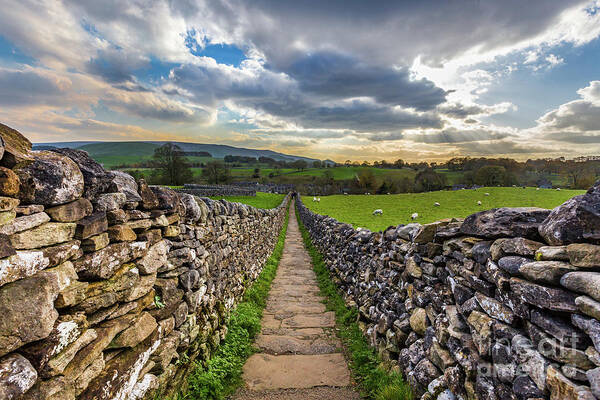 Uk Art Print featuring the photograph Footpath To The Falls, Grassington by Tom Holmes Photography
