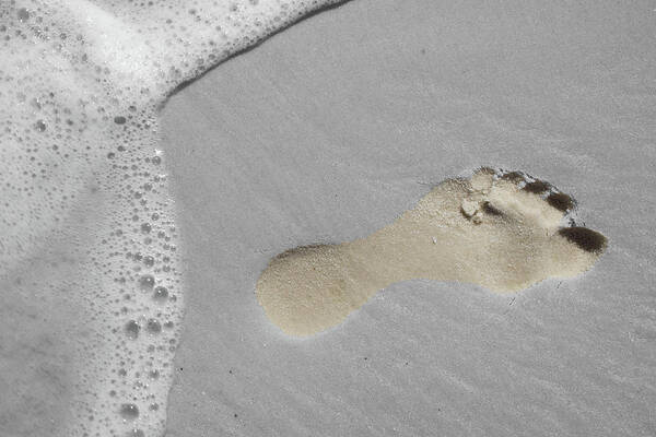 Footprint Art Print featuring the photograph Footprint by Dylan Punke