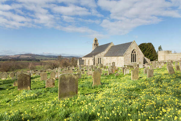 Church Art Print featuring the photograph Ford Church with Daffodils by Anita Nicholson