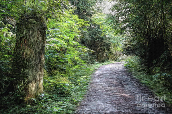 Forest Art Print featuring the digital art Forest Trail by Deb Nakano