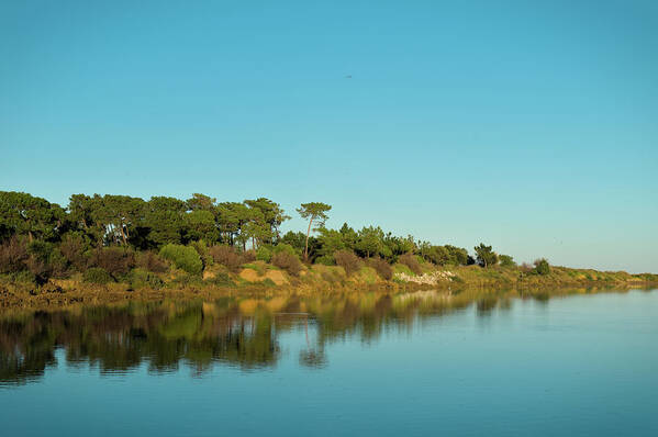 Lake Art Print featuring the photograph Forests Mirror by Angelo DeVal