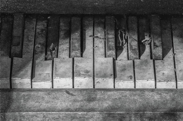 Music Art Print featuring the photograph Forgotten Keyboard BW by David Letts