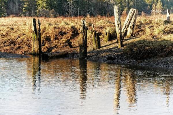 Colors Art Print featuring the photograph Foulweather Posts by David Desautel