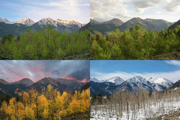 Four Seasons Art Print featuring the photograph Four Seasons - Sawatch Mountains by Aaron Spong