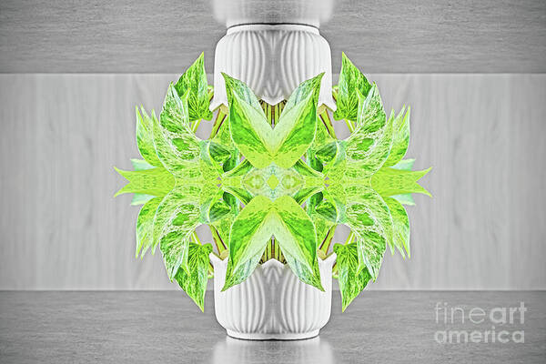 Surreal Art Print featuring the photograph Fresh green plant surreal shaped symmetrical kaleidoscope by Gregory DUBUS