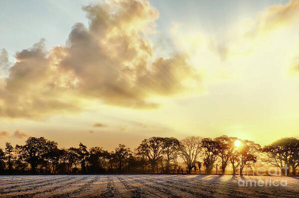 Landscape Art Print featuring the photograph Norfolk frosty farmland sunrise by Simon Bratt