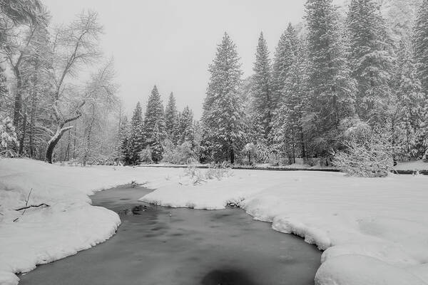 Landscape Art Print featuring the photograph Frozen Creek by Jonathan Nguyen