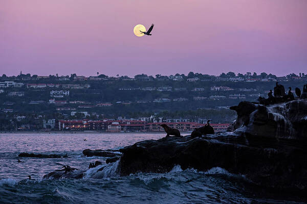La Art Print featuring the photograph Full Moon rising in Ellen Browning Scripps Park La Jolla CA San Diego Pelican Fly By by Toby McGuire