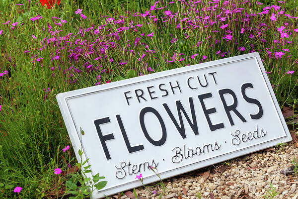 Flowers Art Print featuring the photograph Garden flowers with fresh cut flower sign 0737 by Simon Bratt