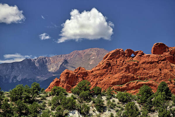 Garden Of The Gods Art Print featuring the photograph Garden of the Gods and Pikes Peak by Bob Falcone