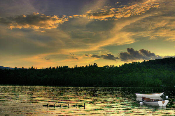 Geese Art Print featuring the photograph Geese with Boats by Wayne King