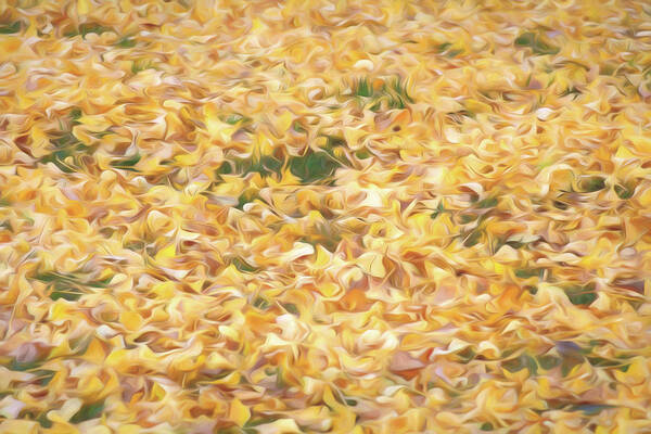 Yellow Leaves Art Print featuring the photograph Ginko leaves on the ground in the fall by Alessandra RC