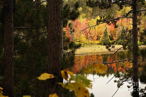 Landscape Art Print featuring the photograph Glimpse of Autumn by Larry Ricker