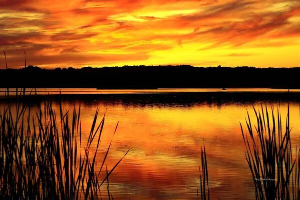 Sunset Art Print featuring the photograph Glorious Sunset by Mary Walchuck
