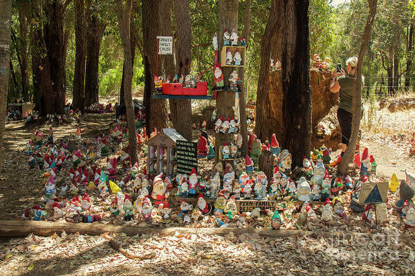 Gnomesville Art Print featuring the photograph Gnomes at Home by Elaine Teague