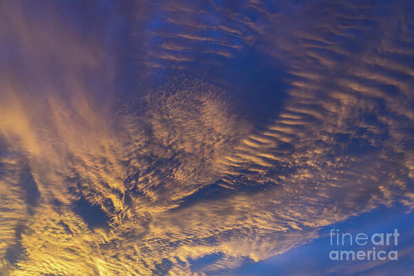 Clouds Art Print featuring the photograph Golden and dark blue cloudscape at sunset by Adriana Mueller