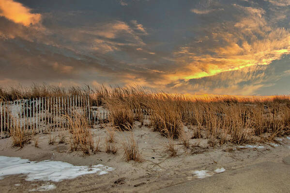 Beach Art Print featuring the photograph Golden Beach by Cathy Kovarik