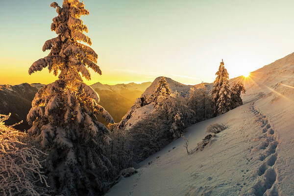 Balkan Mountains Art Print featuring the photograph Golden Winter by Evgeni Dinev