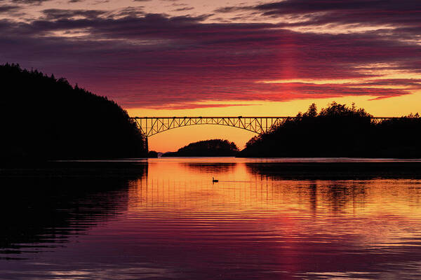 Bridge Art Print featuring the photograph Goose in the Pass by Gary Skiff