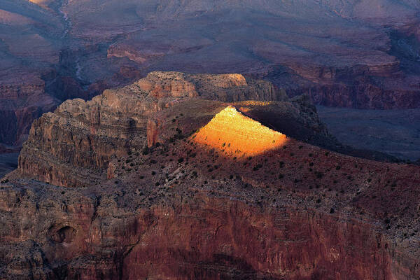 Grand Canyon Art Print featuring the photograph Grand Canyon Light by Susie Loechler